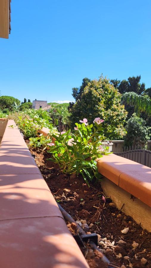 Villa Rosa Palermo Exteriér fotografie